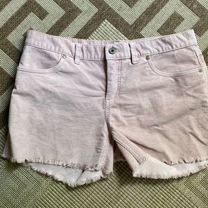 Carve Designs Pink Cord Shorts 6